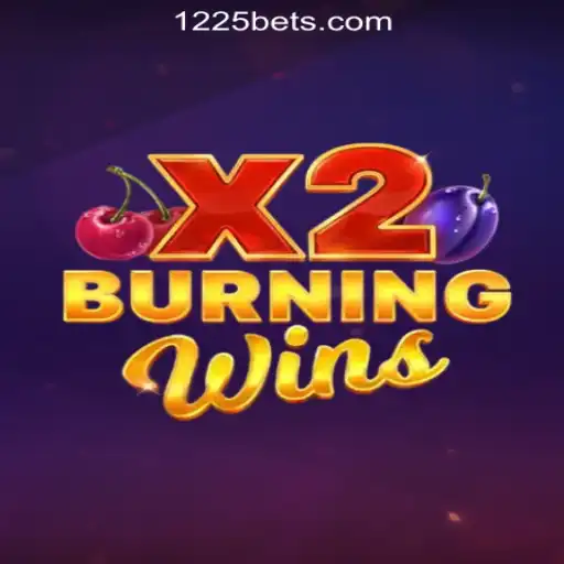 Exploring BurningWinsX2: A Thrilling Casino Game Experience